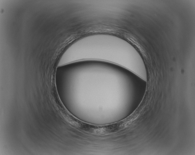 X0000087670309200705040732