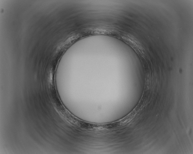 X0000087670310200705040732