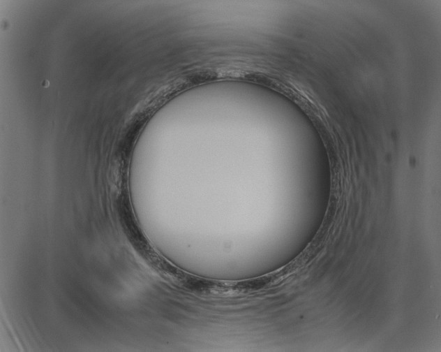 X0000087670311200705040732