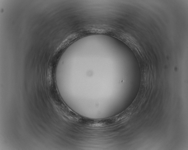 X0000087670312200705040732