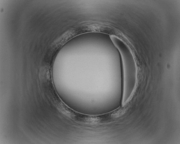 X0000087670313200705040732