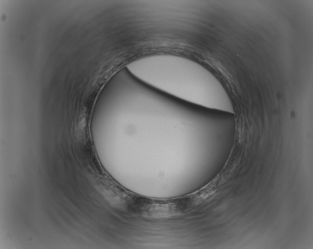 X0000087670314200705040732