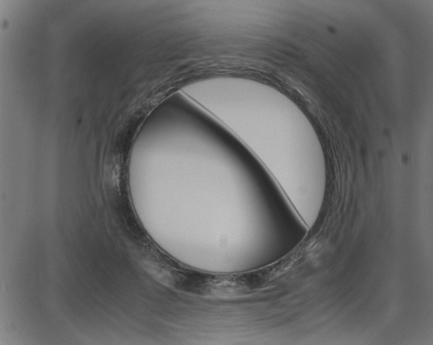 X0000087670315200705040732