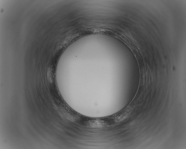 X0000087670316200705040732