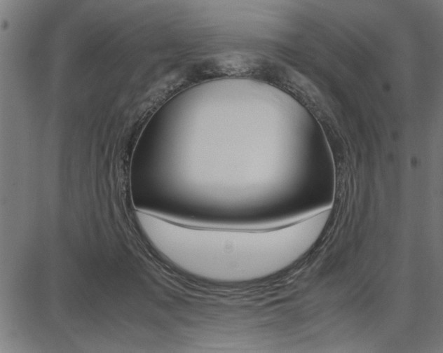 X0000087670317200705040732