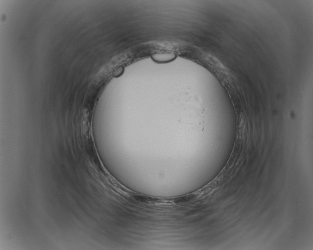 X0000087670318200705040732