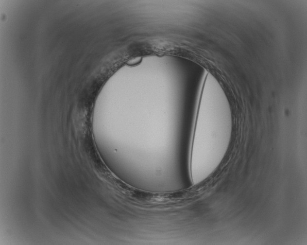 X0000087670319200705040732