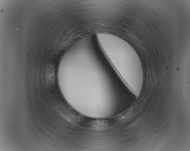 X0000087670320200705040732