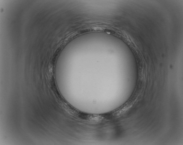 X0000087670321200705040732