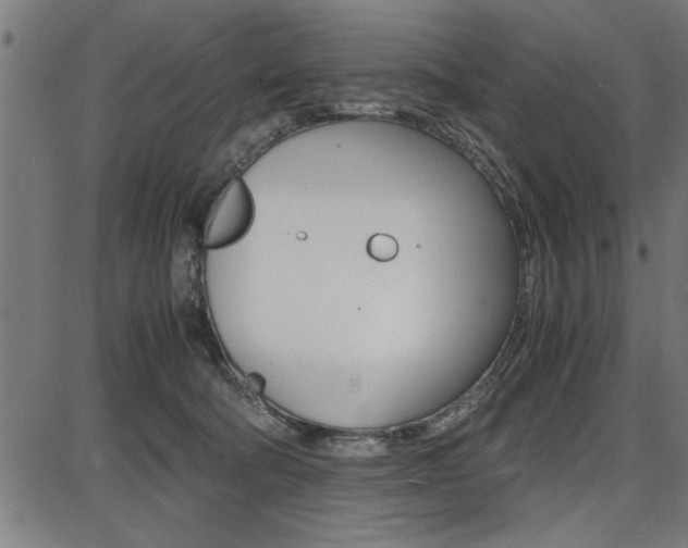 X0000087670322200705040732