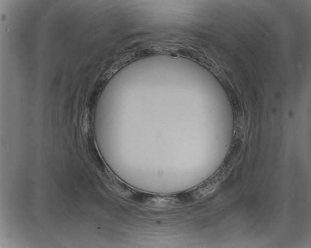 X0000087670323200705040732