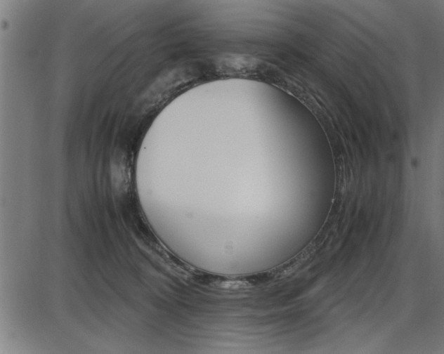 X0000087670324200705040732