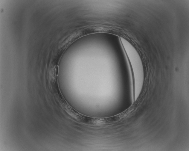 X0000087670325200705040732