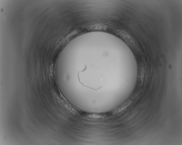 X0000087670326200705040732