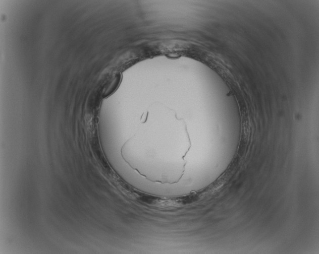 X0000087670327200705040732