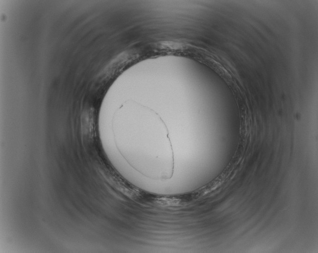 X0000087670328200705040732