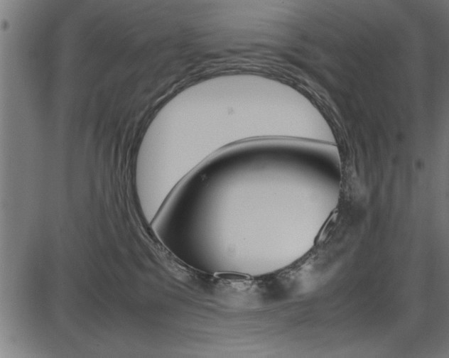 X0000087670329200705040732