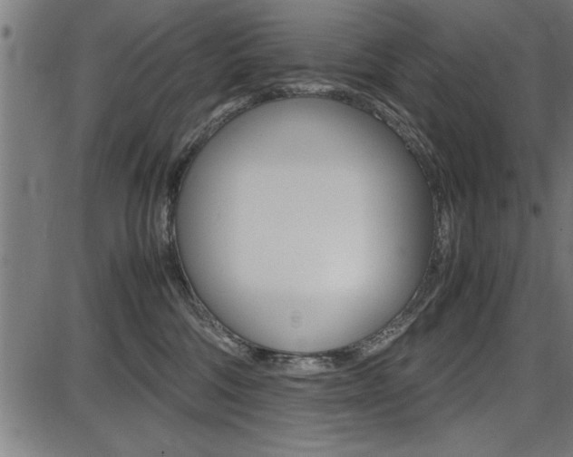 X0000087670330200705040732