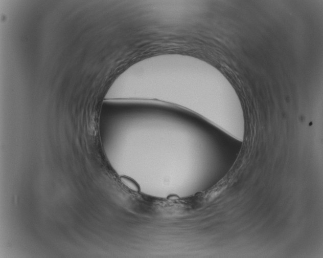 X0000087670331200705040732