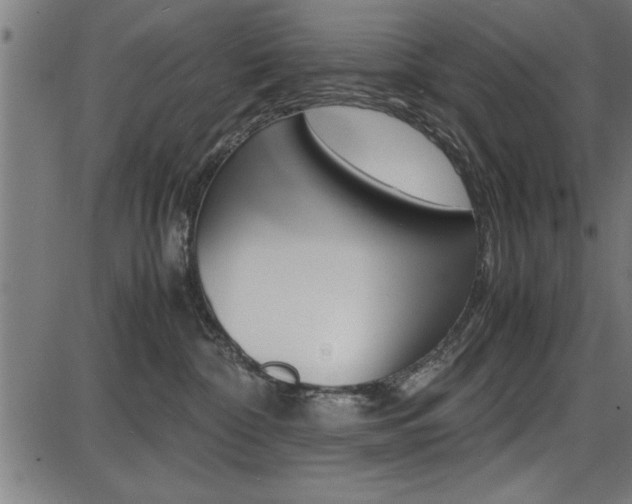 X0000087670332200705040732