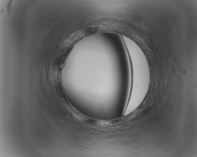 X0000087670333200705040732