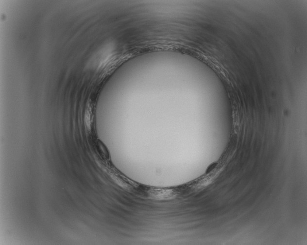 X0000087670334200705040732