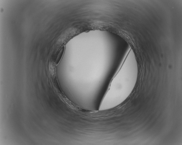 X0000087670335200705040731