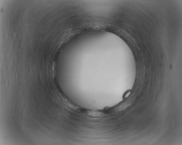 X0000087670336200705040731