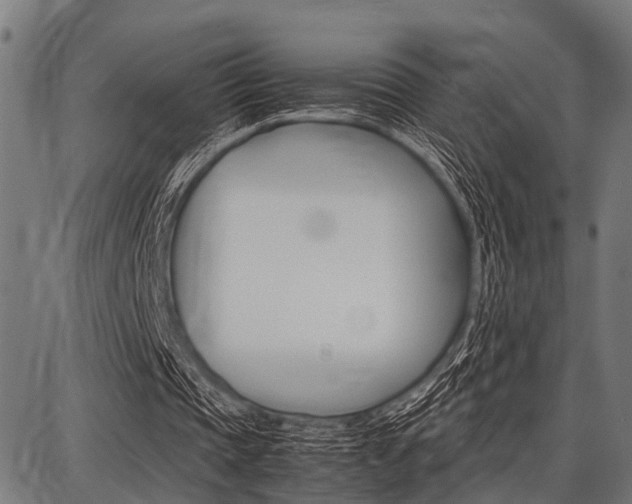 X0000087670337200705040731