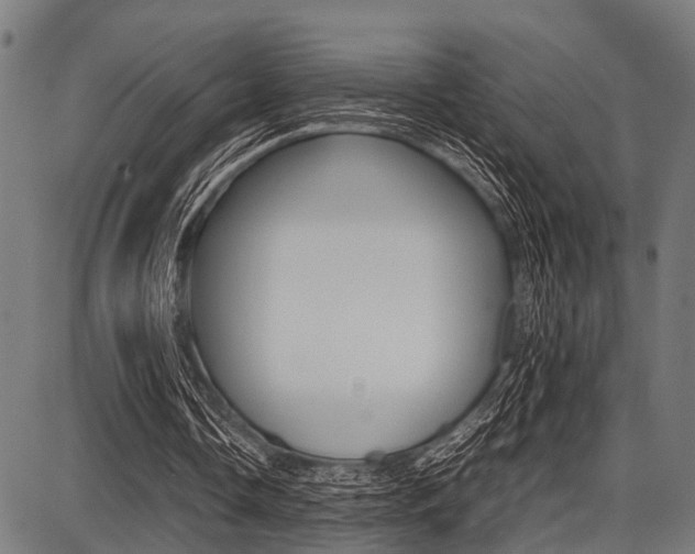 X0000087670338200705040731