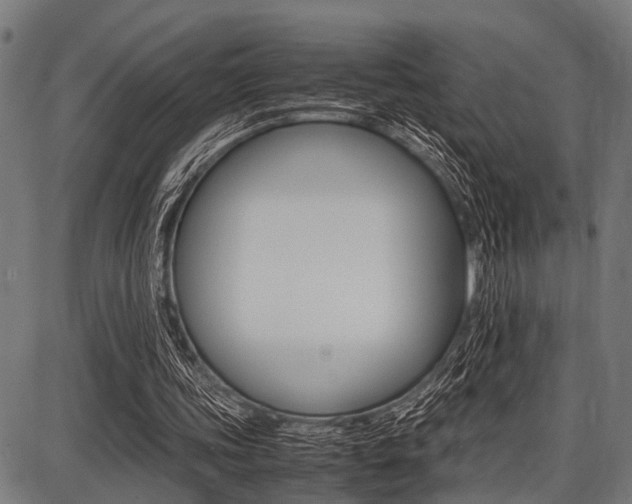 X0000087670339200705040731