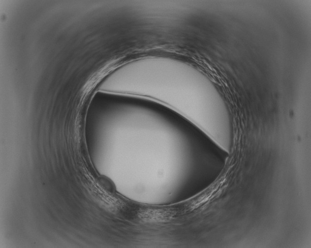 X0000087670341200705040731