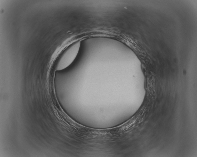 X0000087670343200705040731