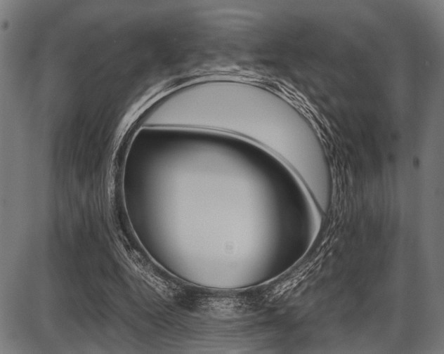 X0000087670344200705040731