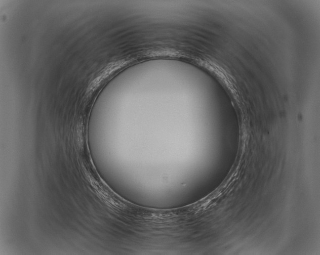 X0000087670345200705040731