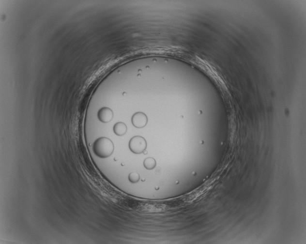 X0000087670346200705040731