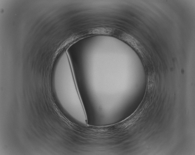 X0000087670349200705040731