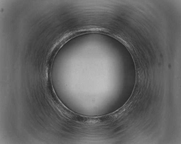 X0000087670350200705040731