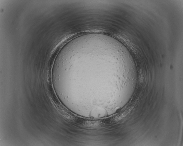 X0000087670351200705040731