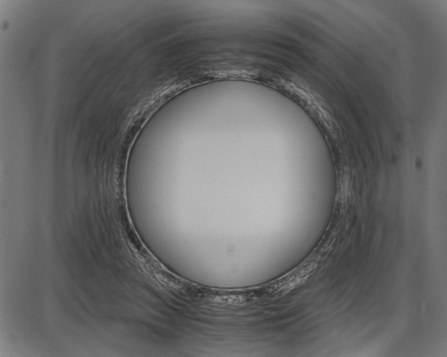 X0000087670353200705040731