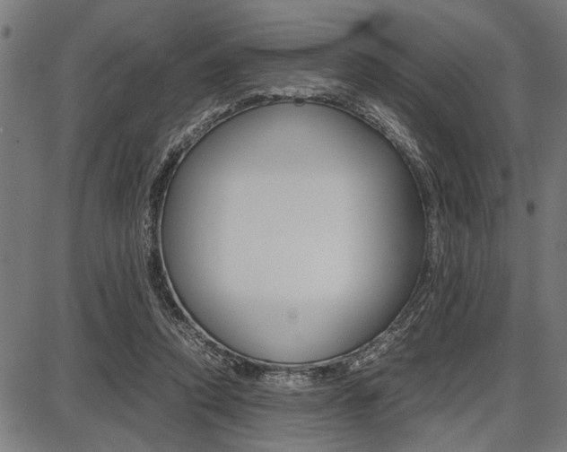 X0000087670354200705040731