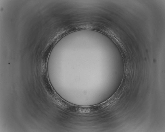 X0000087670355200705040731