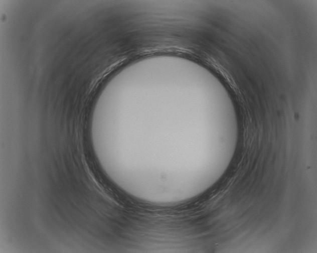 X0000087670356200705040731