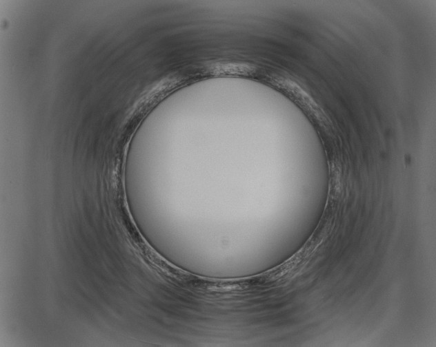 X0000087670357200705040731