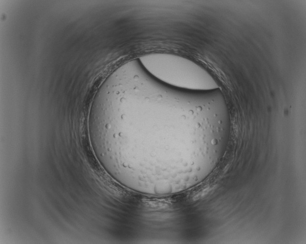 X0000087670359200705040731