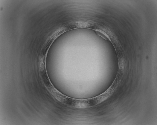 X0000087670360200705040731