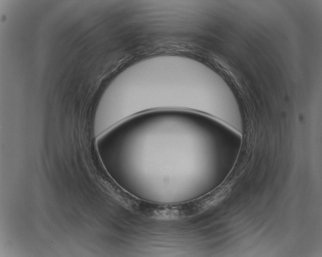 X0000087670362200705040731