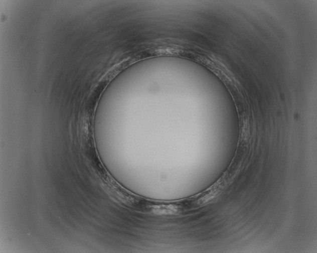 X0000087670363200705040731