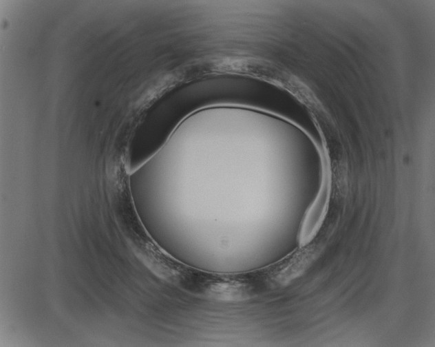 X0000087670364200705040731