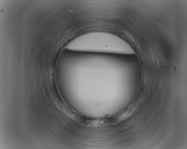 X0000087670366200705040731